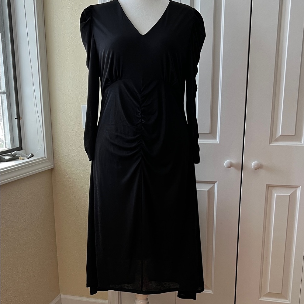 Express Black V-Neck long sleeved Women’s Dress